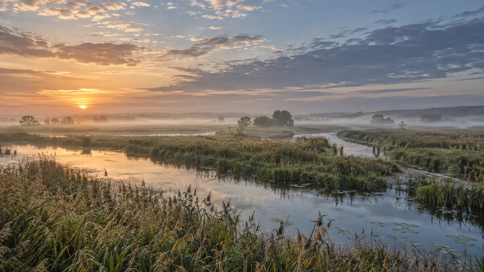 Autorska ilustracja do artykułu „Dolina Noteci – łąki, mokradła i rozległe panoramy”