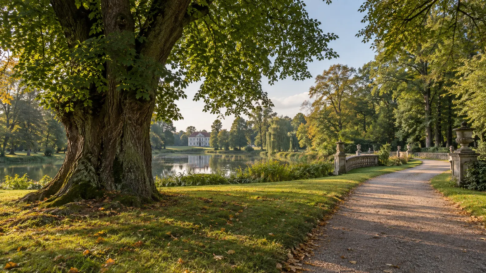 Autorska ilustracja do artykułu „Park dworski w Falmierowie”